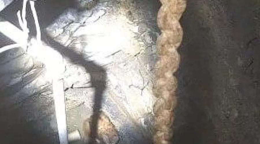  &copy;&nbsp;Фото из инстаграма руководителя &laquo;Службы спасения&raquo; Новороссийска Алексея Одерова, instagram.com/alekseioderov/