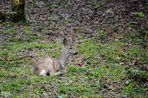  &copy;&nbsp;Нина Зотина, ЮГА.ру