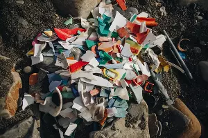  &copy;&nbsp;Фото Глеба Кузнецова