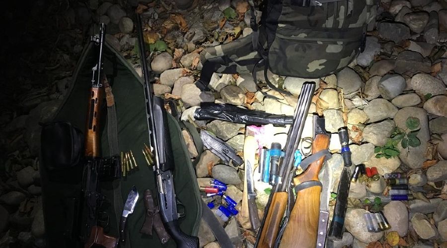  © Фото пресс-службы Сочинского нацпарка