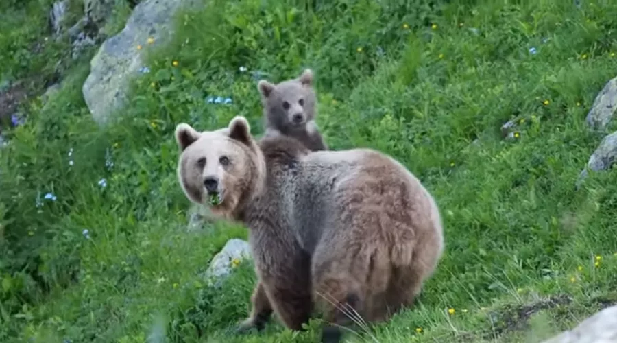  &copy;&nbsp;Скриншот из видео на youtube-канале Павла Мудрова, youtube.com/channel/UC2n8oicMXtgzPoNm04M8RUQ