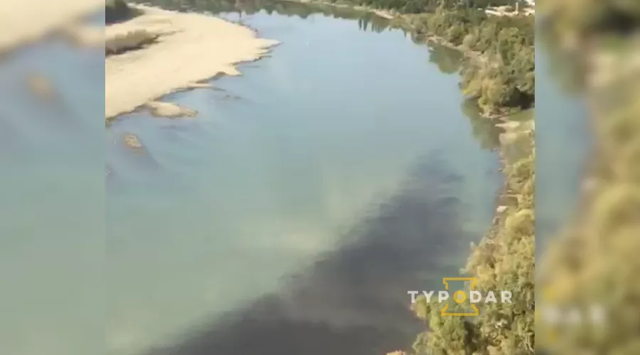  &copy;&nbsp;Скриншот видео из телеграм-канала "Туподар Краснодар", t.me/typodar