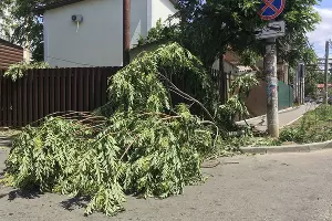  &copy;&nbsp;Фото Александра Гончаренко, Юга.ру