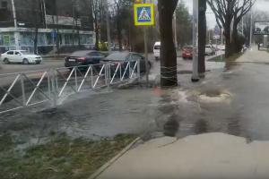  © Скриншот видео из канала «Типичный Краснодар», tmtr.me/krd_tipich_ru