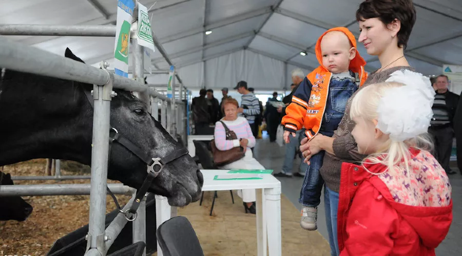 "Кубанская ярмарка" в Краснодаре &copy;&nbsp;Елена Синеок, ЮГА.ру