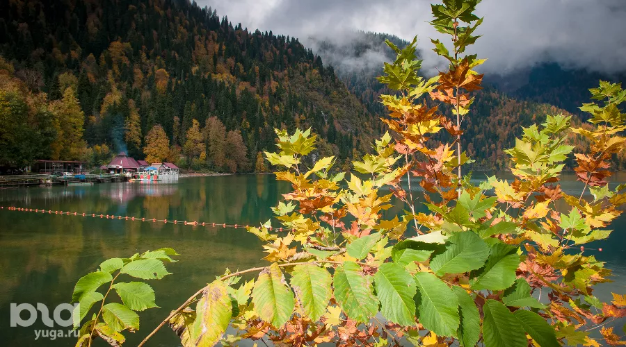  &copy;&nbsp;Елена Синеок, ЮГА.ру