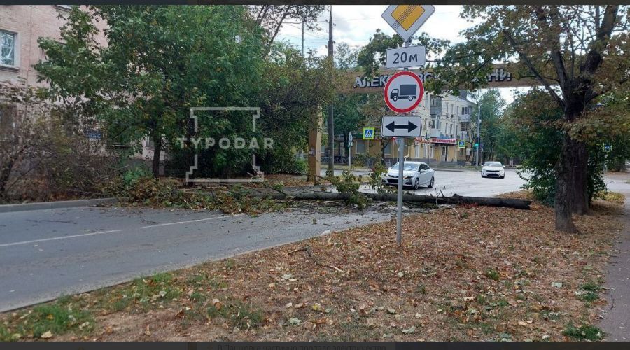  © Скриншот из телеграм-канала «Туподар» https://t.me/typodar/34067