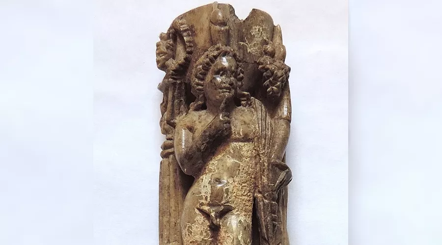  &copy;&nbsp;Фото пресс-службы Крымского федерального университета