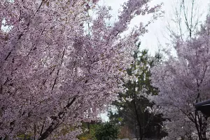  &copy;&nbsp;Фото Марины Солошко, Юга.ру