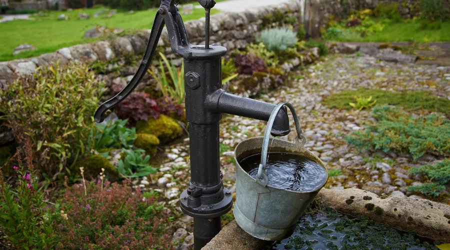  &copy;&nbsp;Фото PublicDomainPictures с сайта pixabay.com