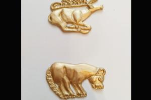  © Скриншот из электронного письма от пресс-службы Краснодарского музея Фелицына