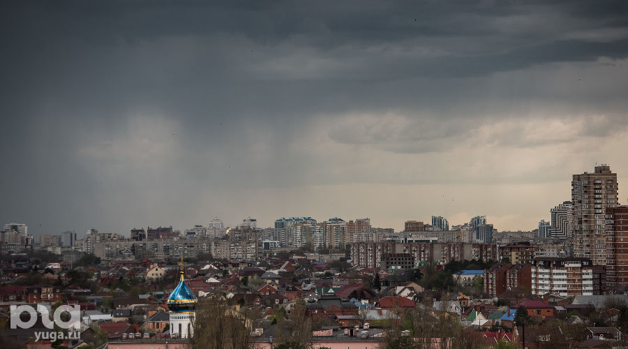  © Фото Елены Синеок, Юга.ру