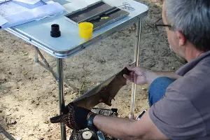  &copy;&nbsp;Фото пресс-службы заповедника &laquo;Утриш&raquo;