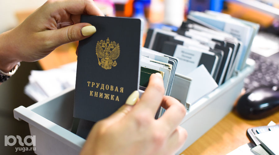 Трудовая книжка © Фото Елены Синеок, Юга.ру