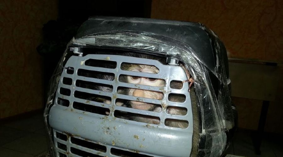  &copy;&nbsp;пресс-службе ПУ ФСБ России по Ростовской области