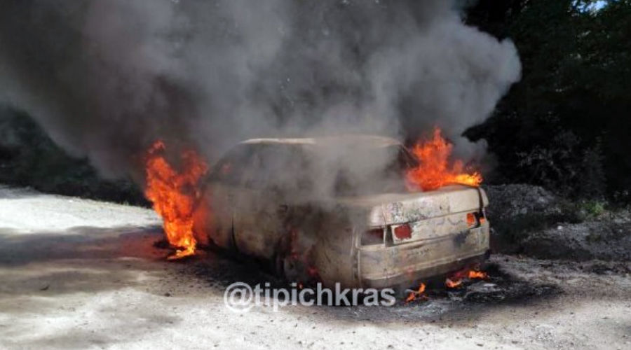  &copy;&nbsp;Телеграм-канал "Телетайп Краснодара", T.me/tipichkras