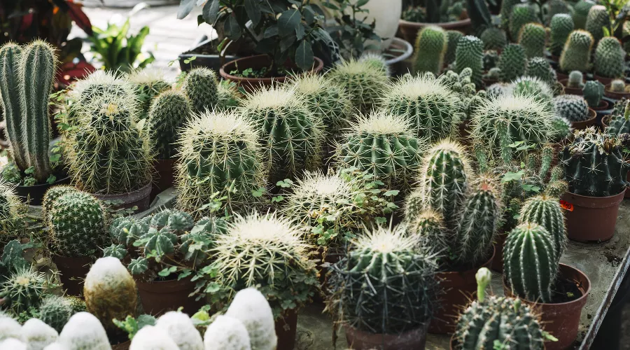  &copy;&nbsp;Фото freepik, сайт freepik.com