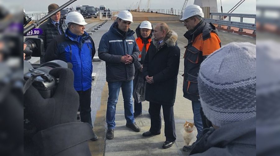  &copy;&nbsp;Фото из аккаунта instagram.com/cat_the_most