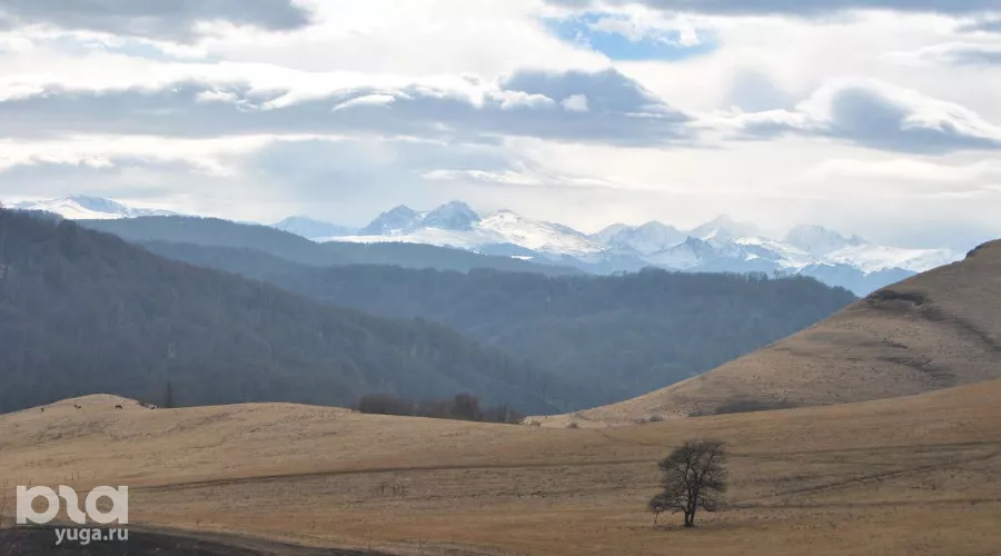 Домбай &copy;&nbsp;Фото Анны Петровой, Юга.ру