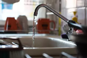  &copy;&nbsp;Фото Елены Синеок, Юга.ру