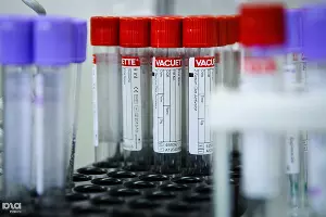  &copy;&nbsp;Фото Елены Синеок, Юга.ру