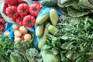  &copy;&nbsp;Фото Анны Петровой, Юга.ру