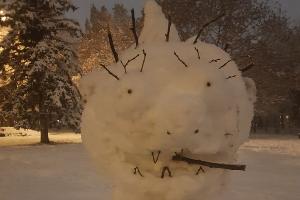  © Фото Анастасии Щегловой, Юга.ру