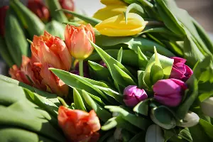  &copy;&nbsp;Фото Елены Синеок, Юга.ру