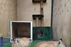  &copy;&nbsp;Фото предоставлено для портала Юга.ру