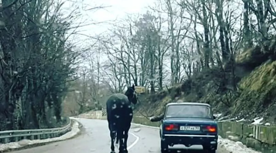  &copy;&nbsp;Фото из аккаунта в Instagram, instagram.com/aleksandr_online