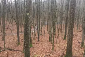  &copy;&nbsp;Фото &laquo;Эковахты по Северному Кавказу&raquo;