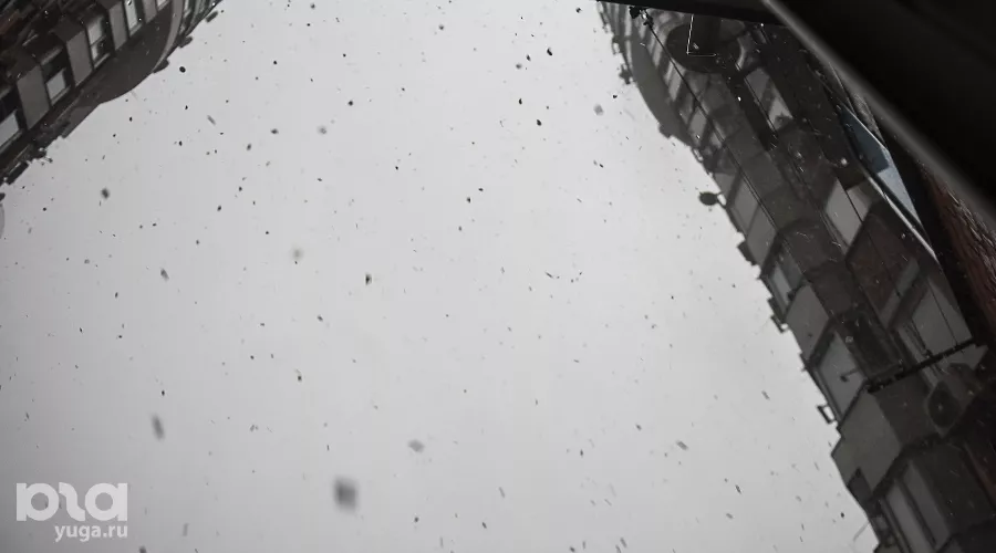  &copy;&nbsp;Фото Елены Синеок, Юга.ру