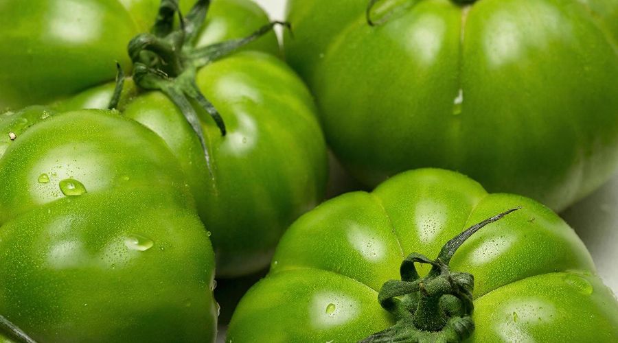 помидоры &copy;&nbsp;Изображение сгенерировано нейросетью Gigachat