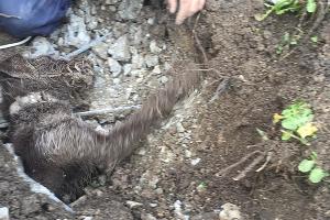  &copy;&nbsp;Фото со страницы instagram.com/alekseioderov