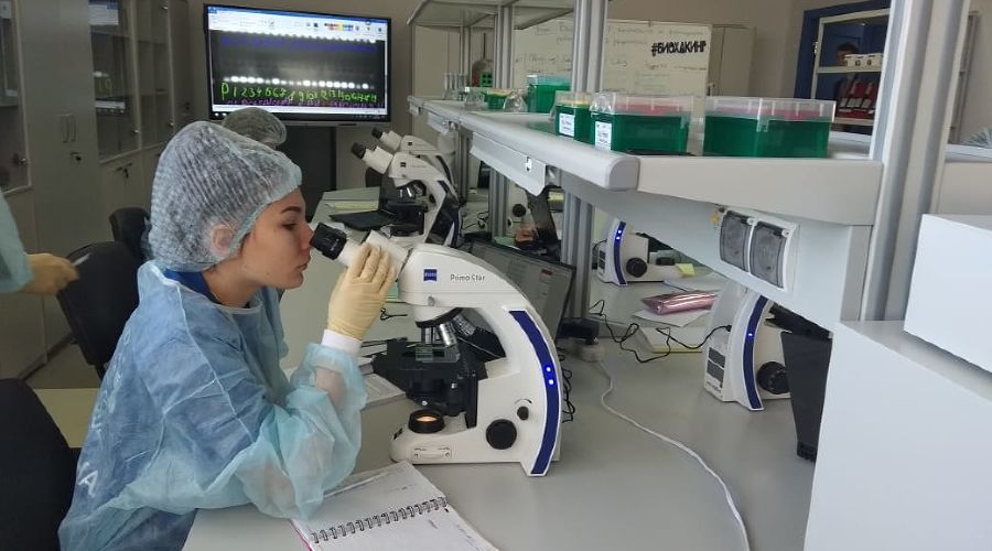 «Полярис-Адыгея» &copy;&nbsp;Фото Елены Малышевой