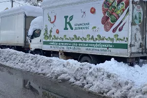  &copy;&nbsp;Фото Валерии Кирсановой