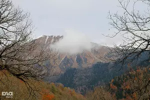 Установка "солонцов" в Кавказском заповеднике &copy;&nbsp;Ирина Лукьяшко. ЮГА.ру