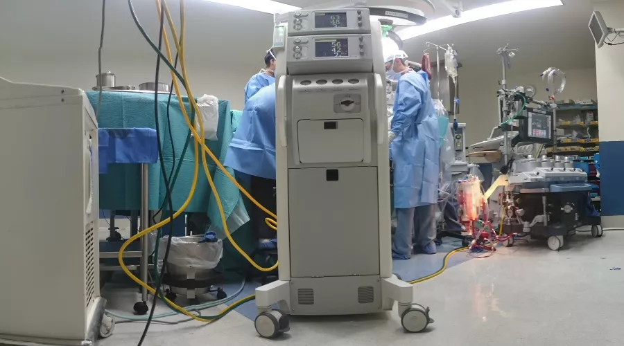  &copy;&nbsp;Фото Natanael Melchor, unsplash.com