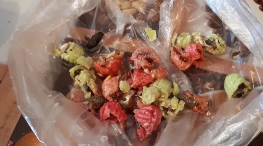  &copy;&nbsp;Фото пресс-службы УФСИН России по Ставропольскому краю