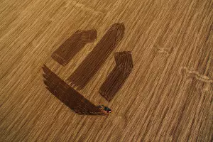  &copy;&nbsp;Фото с сайта DTF