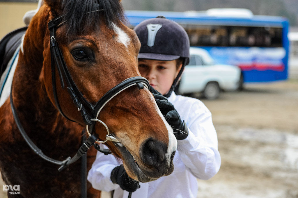 Конный спорт сочи. Конный спорт сочи. Кск элит сочи. Конный спорт сочи. Кск панова.