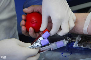  © Фото Елены Синеок, Юга.ру