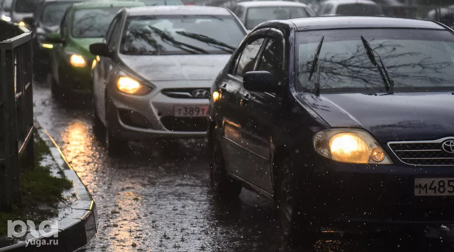  &copy;&nbsp;Фото Елены Синеок, Юга.ру