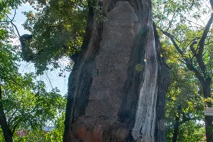  &copy;&nbsp;Фото Дмитрия Пославского, Юга.ру