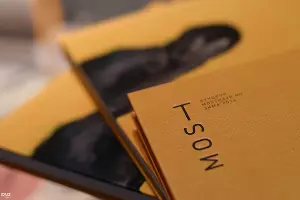 MOST &copy;&nbsp;Фото Михаила Ступина, Юга.ру