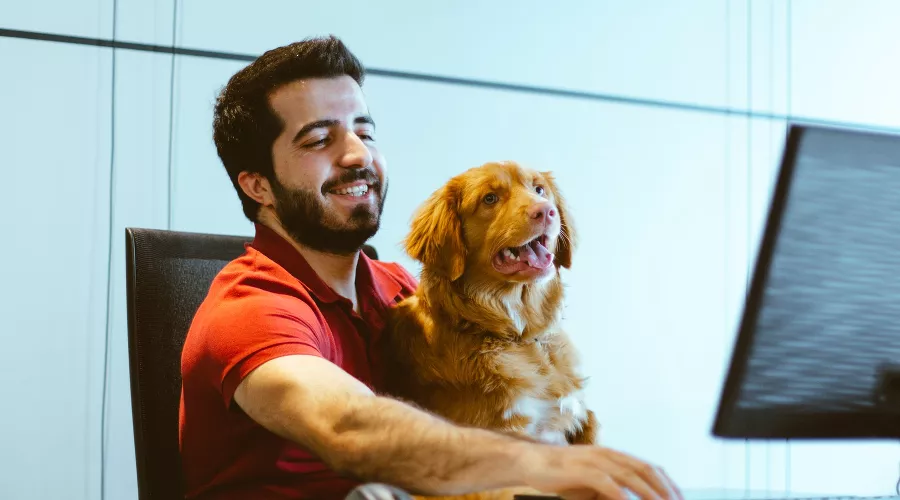  &copy;&nbsp;Фото Neringa Šidlauskaitė с сайта unsplash.com