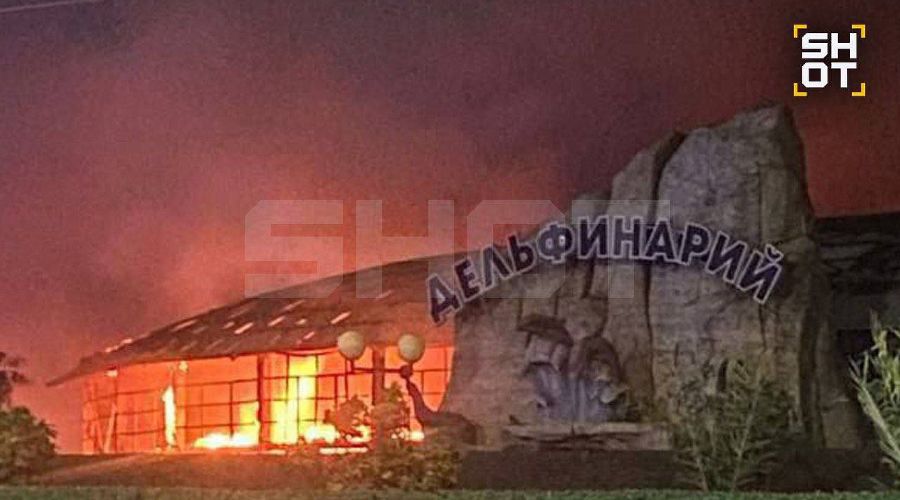  © скриншот фото из телеграм-канала SHOT