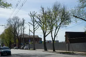  &copy;&nbsp;Фото Евгения Мельченко, Юга.ру