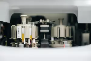  &copy;&nbsp;Фото Дениса Яковлева, Юга.ру