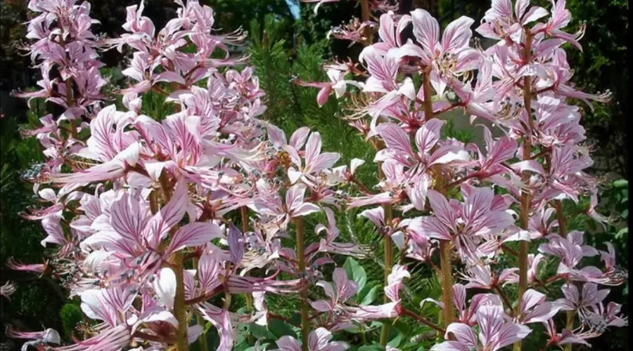  &copy;&nbsp;Кадр из видео youtu.be/U0ydOFOCR-Q